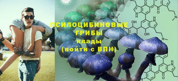 крисы Алексеевка